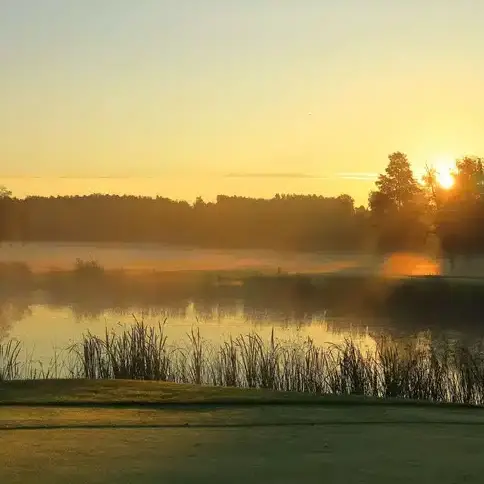Konferensbokarna environmental image Swedish nature