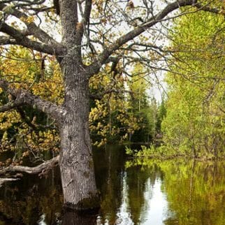 Conference bookers spring river sustainability