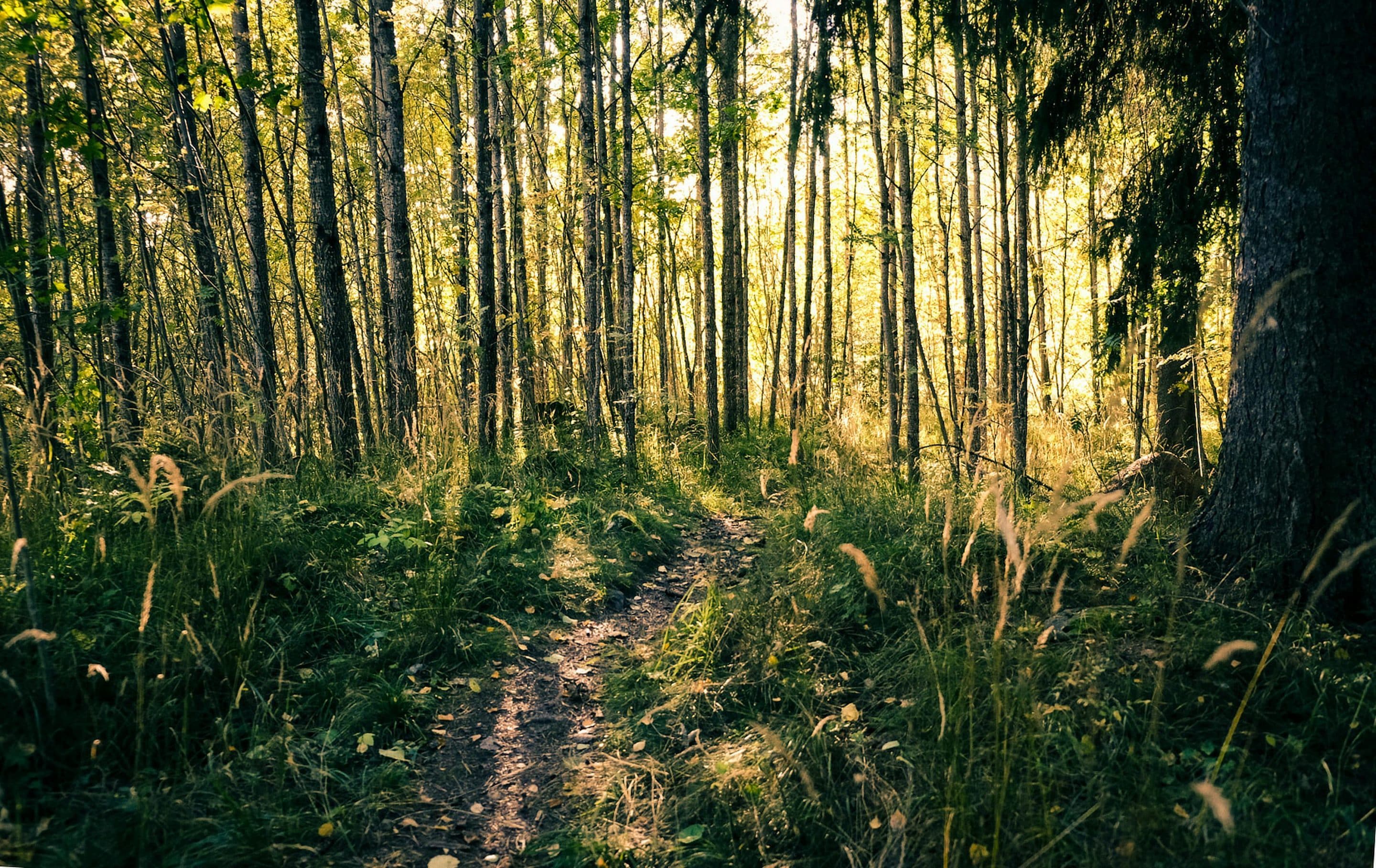 konference Gävleborg naturbillede