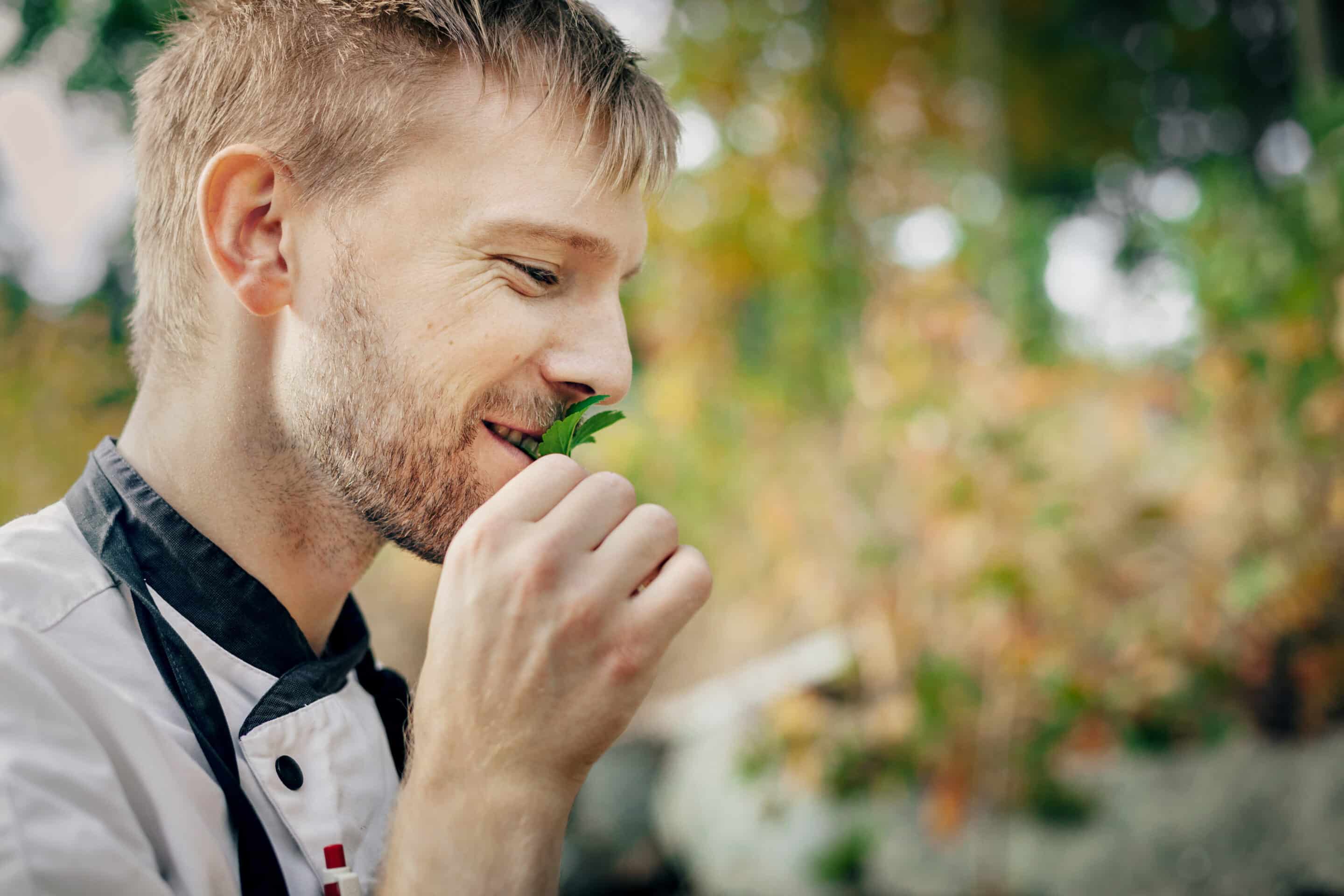 Friibergh herrgård smakresan 2 konferens Stockholm