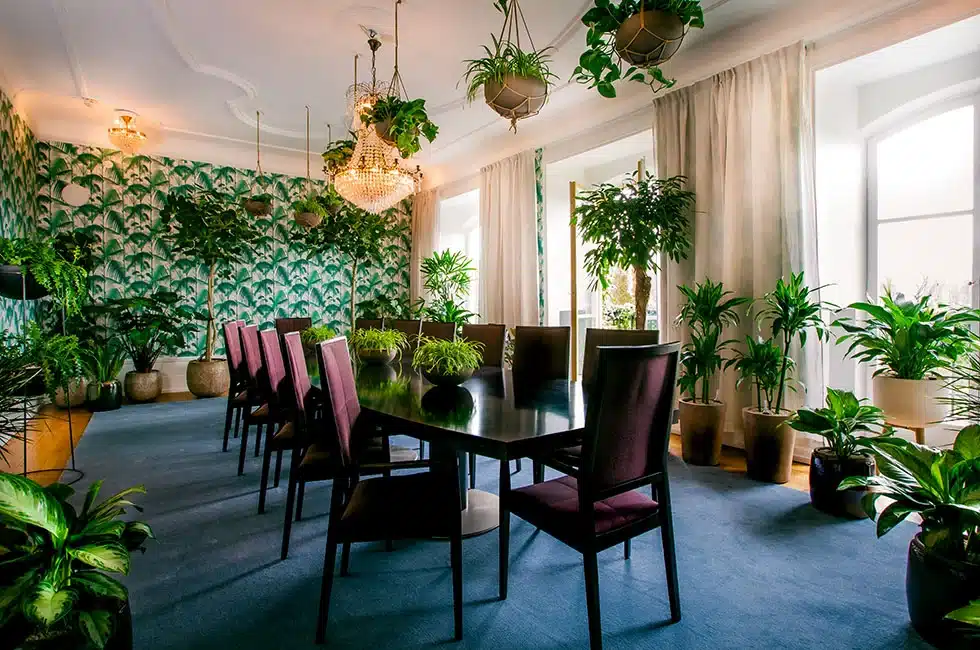 Happy Tammsvik konferencelokale the Jungle konference Stockholm