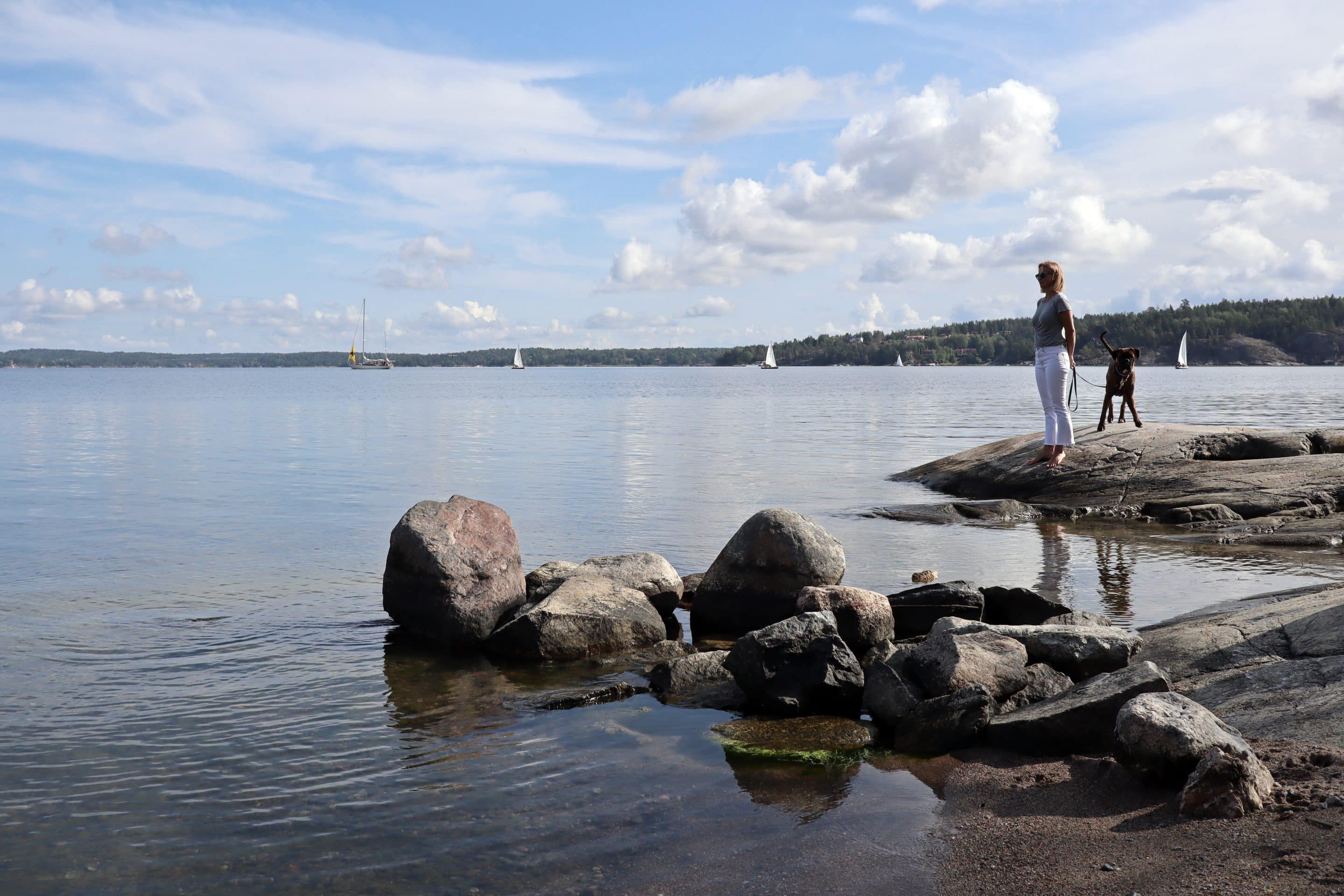 Vår gård utendørs sommer sjøstrand gjest hund