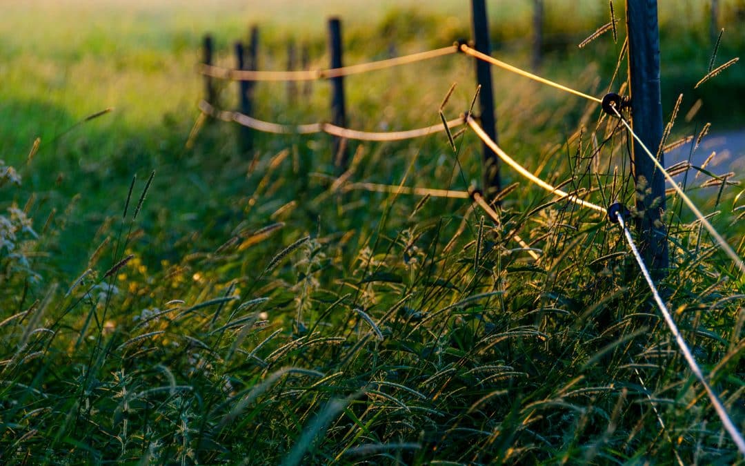 Lidingö, en oase for konferanser i nærheten av Stockholm