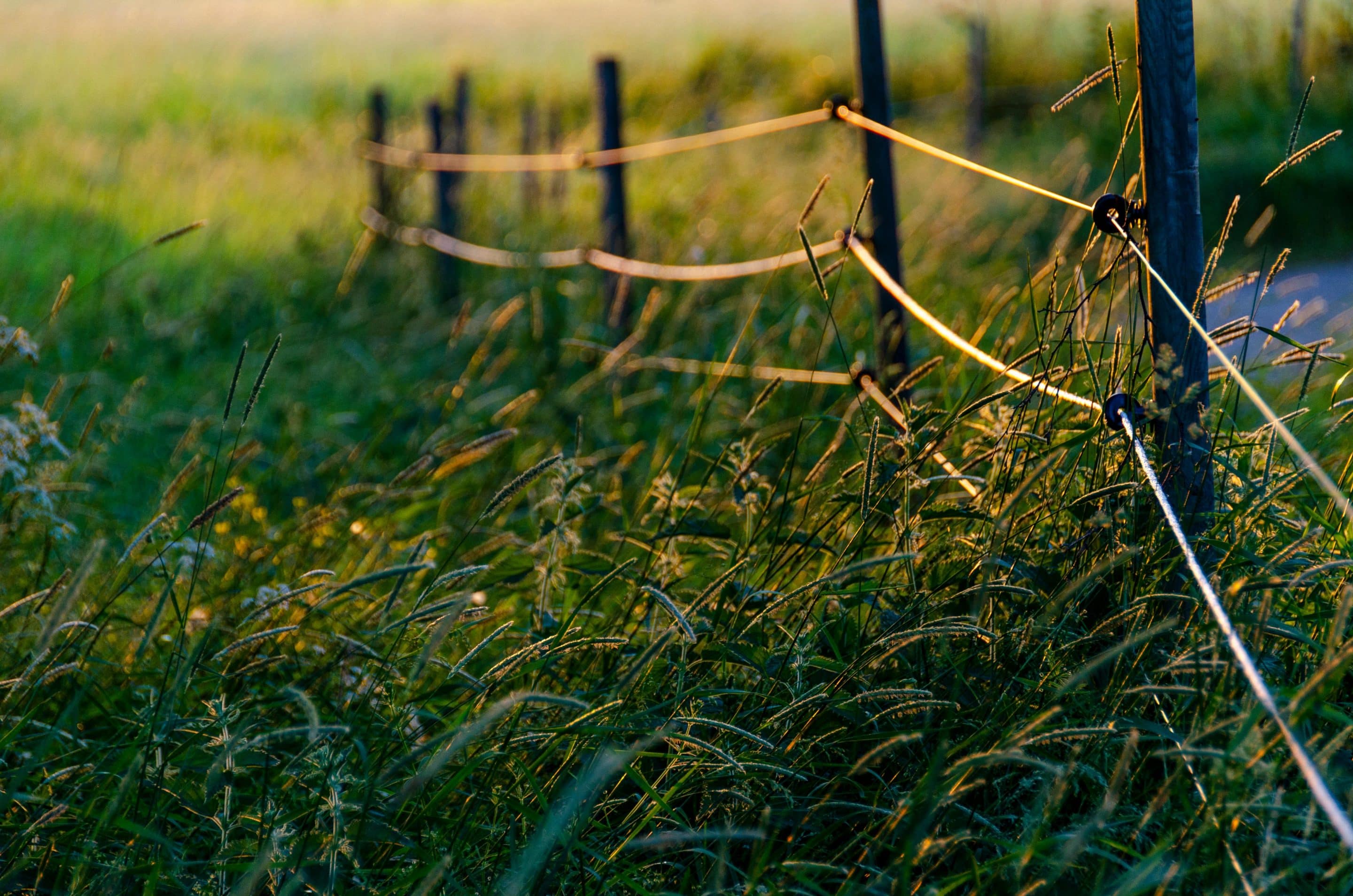 Conference in Northern Stockholm